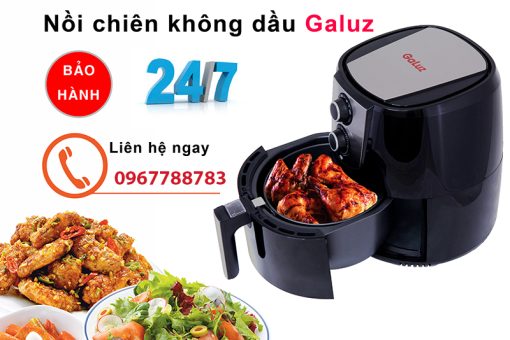 noi chien khong dau galuz 301