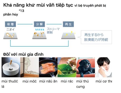 maylockhongkhidaikinmck70y-1